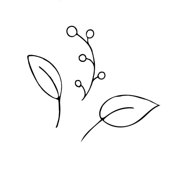 Ручной Рисунок Вектора Элемент Фона Листья Дерева — стоковый вектор