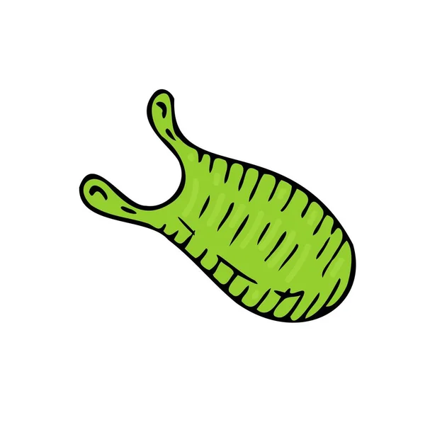 Vektor Izolovaný Prvek Zelená Bakterie Bez Pozadí Ručně Kreslené Kresleném — Stockový vektor