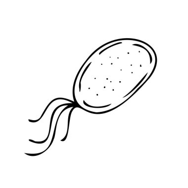 vektör izole öge, arkaplansız siyah ve beyaz bakteri karalama biçiminde çizilmiş