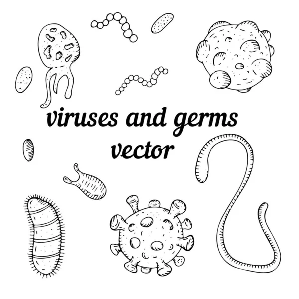 Vektor Uppsättning Element Svart Och Vitt Virus Och Bakterier Utan — Stock vektor