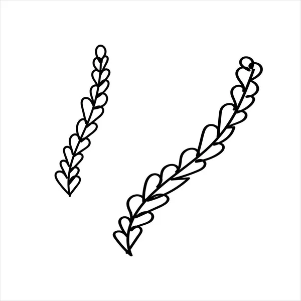 Vektor Element Schwarz Weiß Zeichnung Eines Meeresbewohners Doodle Färbung Algen — Stockvektor