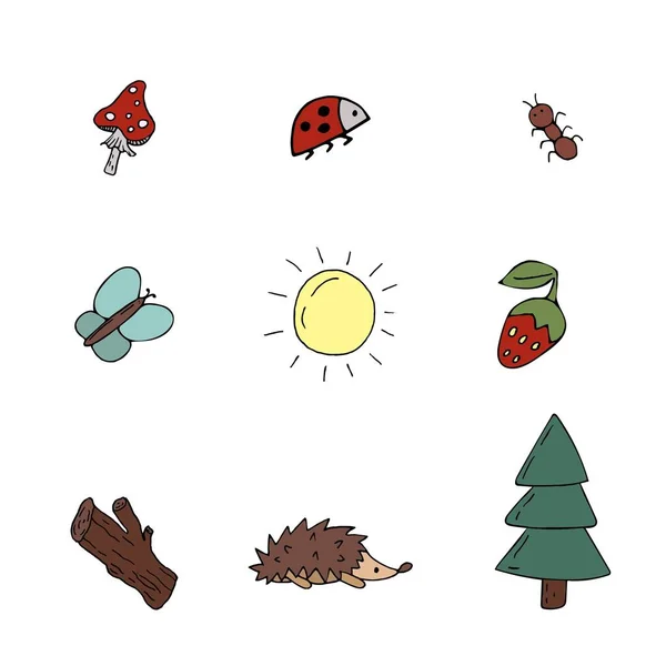 Picknick, fiske, hinkfångst, grill, skog, natur, växter och insekter, igelkott, vektor uppsättning handritade element i doodle stil — Stock vektor