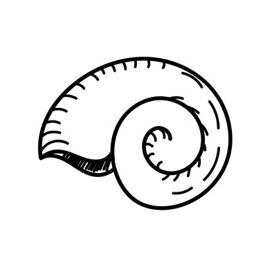 vektör elementi, bir deniz sakininin siyah beyaz çizimi, karalama rengi, kabuk, boyama kitabı