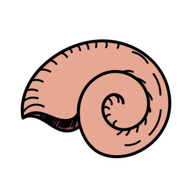 renk vektör elementi, bir deniz sakininin siyah beyaz çizimi, karalama rengi, kabuk