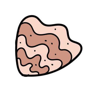 renk vektör elementi, bir deniz sakininin siyah beyaz çizimi, karalama rengi, kabuk