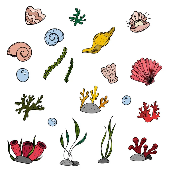 彩色矢量元素集 海洋居民的黑白绘图 涂鸦着色 可爱的海藻和珊瑚 — 图库矢量图片