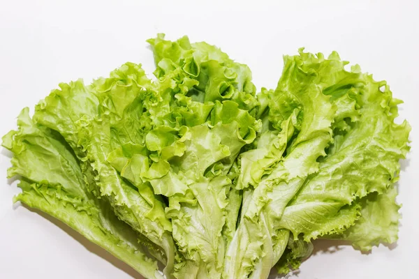 Lettuce Leaves Close White Background — Stock Photo, Image