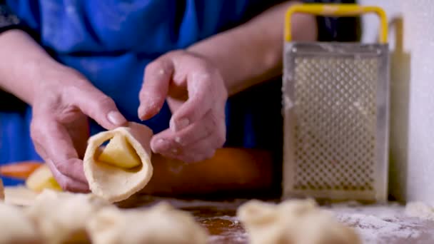 Frau bereitet hausgemachtes Gebäck, hausgemachten kulinarischen Apfelkuchen zu. — Stockvideo