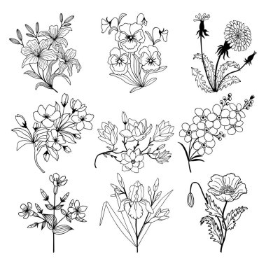 Bitkisel bitki seti. Manolya çiçekleri, hanım evlatları, karahindiba, haşhaş, elma ağacı, zambak, unutma beni, göz. Vektör çizimi. el çizimi