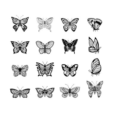 Kelebek seti. Vektör çizimi. el çizimi