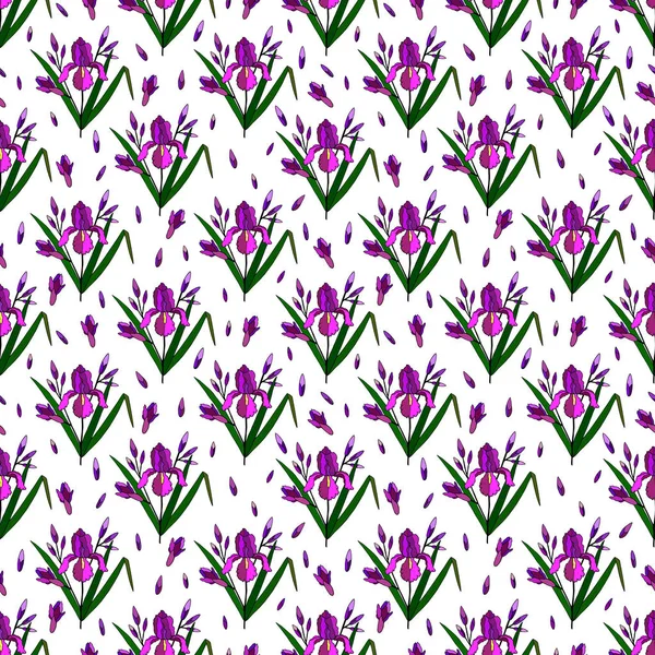 Patrón Sin Costuras Flores Iris Con Brotes Hojas Ilustración Vectorial — Archivo Imágenes Vectoriales