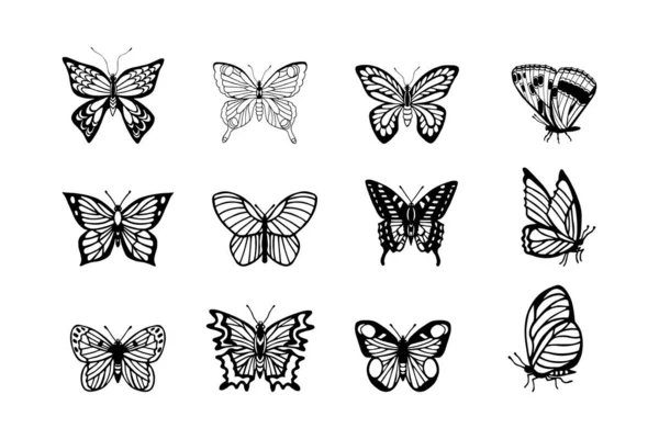 Σύνολο Πεταλούδες Διανυσματική Απεικόνιση Σχέδιο Στο Χέρι — Διανυσματικό Αρχείο
