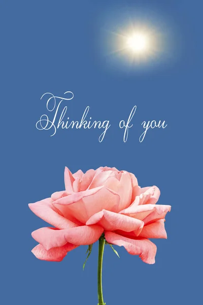 Thinking of you - card. rose.