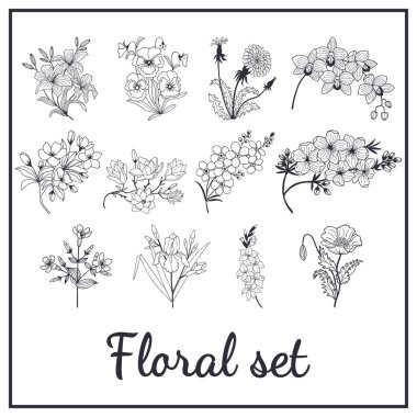 Botanik çiçek seti. Manolya çiçekleri, hanım evlatları, karahindiba, haşhaş, elma ağacı, zambak, unutma beni çiçekleri, süsen çiçekleri, orkide, şeftali çiçekleri. Eps10 vektör illüstrasyonu. el çizimi