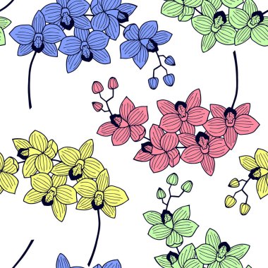 Orkide çiçekleri pürüzsüz desen. Vectron illüstrasyon eps10