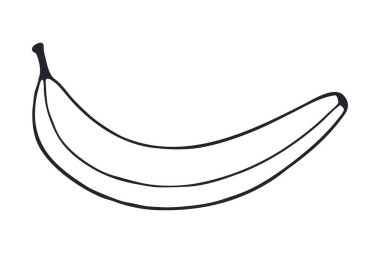 Muz meyvesi Eps10 vektör stok çizimi. El çizimi. boyama. resim çizgisi