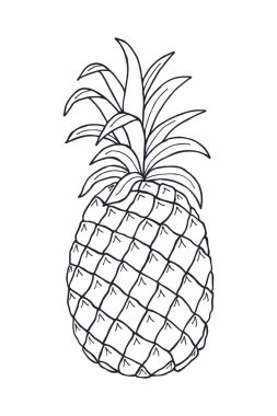 Ananas meyvesi. Eps10 vektör stok çizimi. el çizimi. 