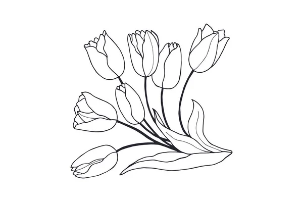 Tulipány Eps10 Vektorová Stock Ilustrace Ruční Kresba — Stockový vektor