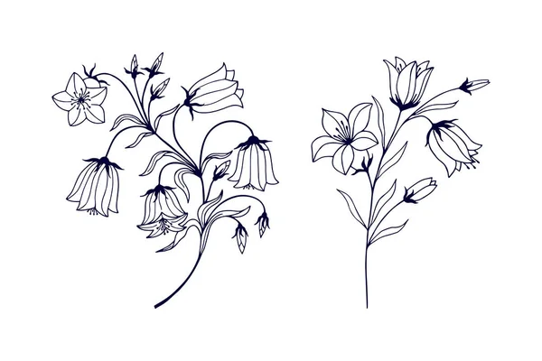 花の鐘のセット Eps10ベクターストックイラスト手描き — ストックベクタ