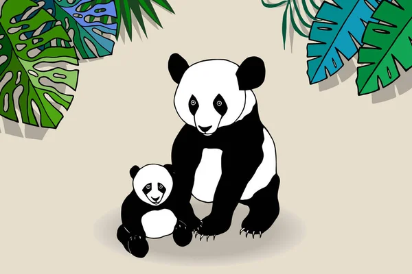 Deux Pandas Feuilles Vertes — Image vectorielle