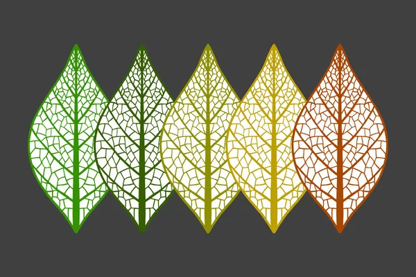 Renkli yapraklı pürüzsüz arkaplan