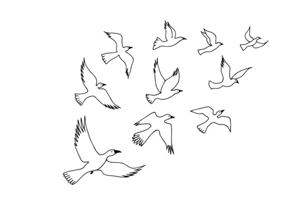 Oiseaux Volants Isolés Sur Fond Blanc — Image vectorielle