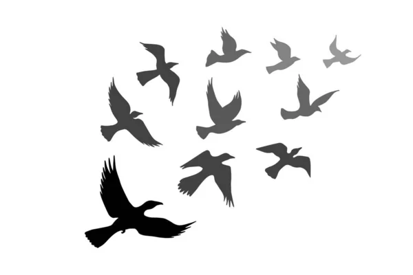Oiseaux Volants Isolés Sur Fond Blanc — Image vectorielle
