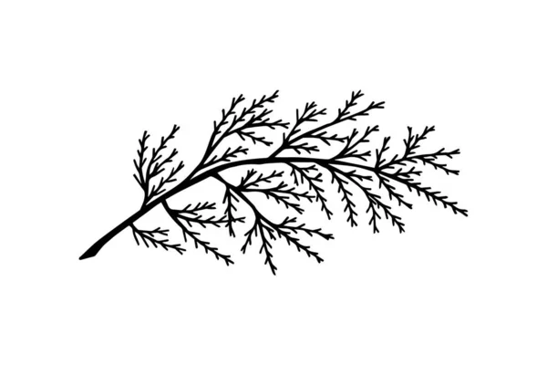 白を基調とした黒と白の木の枝 — ストックベクタ
