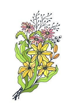 Zarif çiçekler, botanik