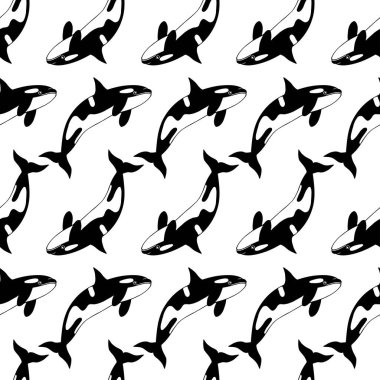 Katil balinaların, balinaların kusursuz desenleri.