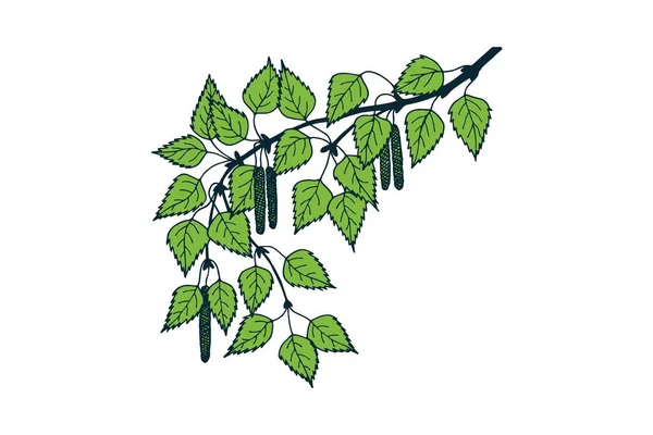 Branche Arbre Aux Feuilles Vertes — Image vectorielle