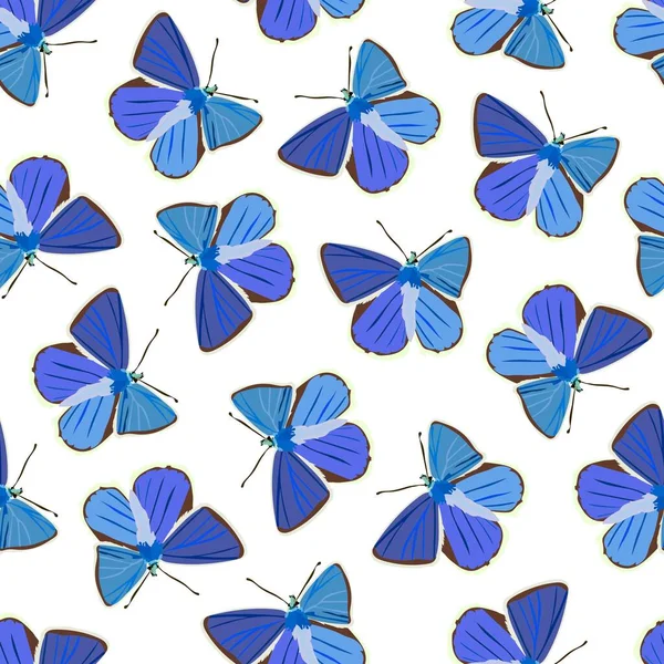 Patrón Brillante Sin Costuras Con Mariposas — Vector de stock