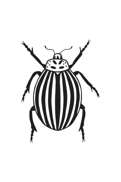 Insecte Isolé Sur Fond Blanc — Image vectorielle