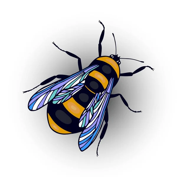 Gestreifte Biene Aus Nächster Nähe — Stockvektor
