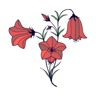 Çiçek çanları beyaz arka planda elle çizilmiş, eps10 vektör çizimleri. 