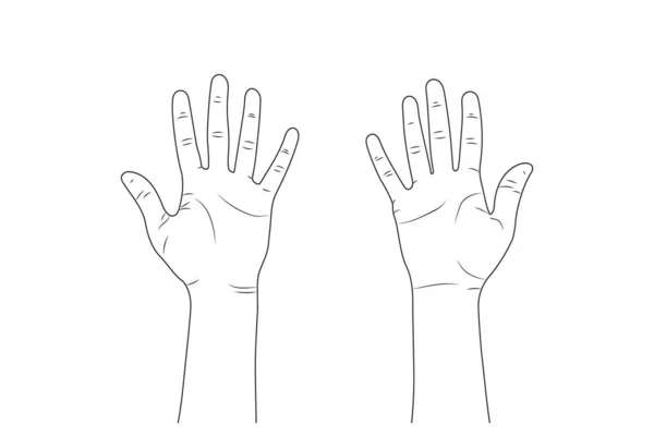 100,000 Hand outline Vector Images | Depositphotos