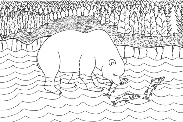 Kutup Ayısı Balık Tutuyor Boyama Kitabı Eps10 Vektör Stok Çizimi — Stok Vektör