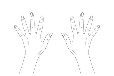 Vektör çizimi çizimi bölüm 10 - kadın eli.