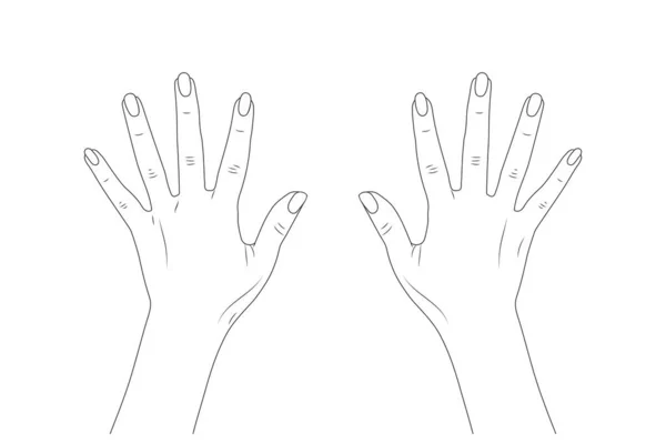 矢量草图第10页 妇女的手 — 图库矢量图片