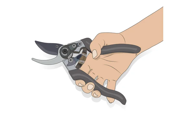 El kesiciler, dalları budamak için makas. Vektör hisse senedi illüstrasyonu 10 puan.