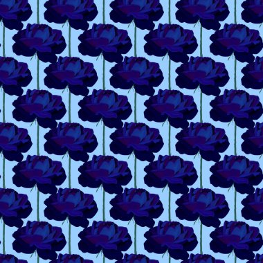 Güzel mavi güller seti