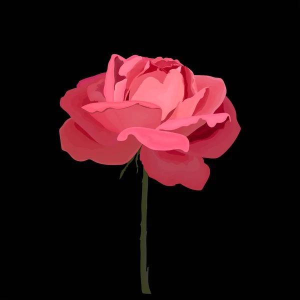黒の背景に赤いバラが1つ — ストックベクタ