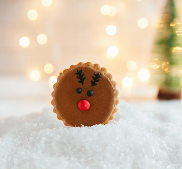 Läckra pepparkakor Cookie — Stockfoto