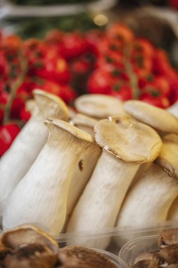 Kutularda çeşitli mantar