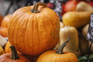 Kabaklar bir mağaza