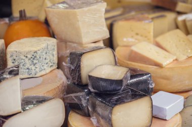 çeşitli peynir türleri