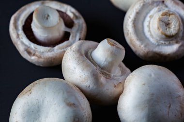 Siyah Bckground tarihinde mantarlar