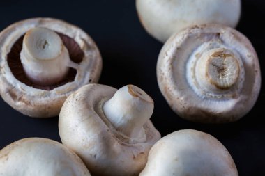 Siyah Bckground tarihinde mantarlar