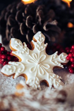 noel zencefilli kurabiye