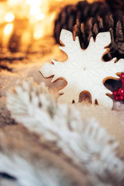 noel zencefilli kurabiye